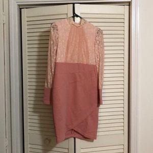 Blush Lace Bodice Bodycon Dress
